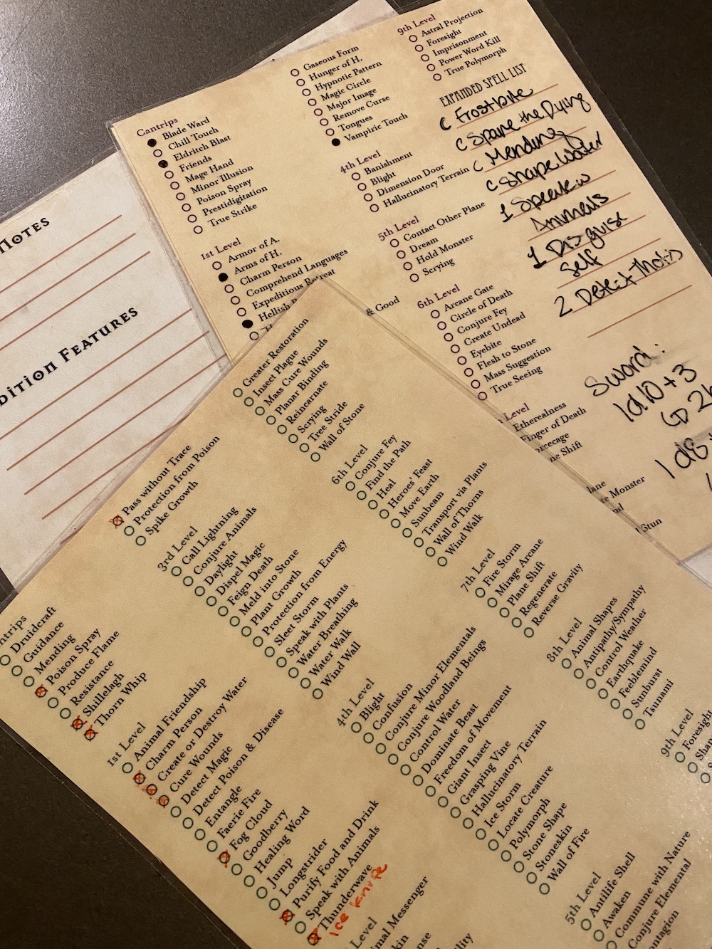 back side of the cards